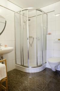 ein Bad mit einer Dusche, einem WC und einem Waschbecken in der Unterkunft Bloberger Hof in Salzburg