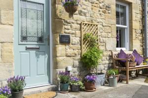 a house with a blue door and a bunch of potted plants at Wisteria Cottage in Warkworth