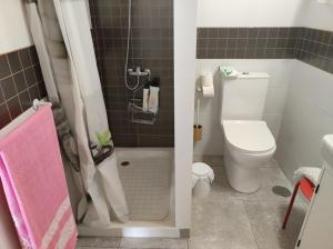 a small bathroom with a toilet and a shower at Casita La Gomera in San Sebastián de la Gomera