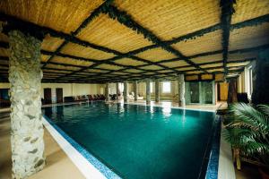 a large swimming pool with a wooden ceiling at Pension Domeniul Regilor in Ciurila