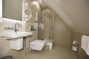 een badkamer met een wastafel, een toilet en een douche bij Landhaus Susewind in Ahrenshoop