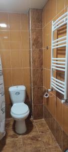 a small bathroom with a toilet and a shower at Nias's Apartment in Bakuriani in Bakuriani