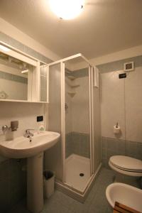 a bathroom with a shower and a sink and a toilet at Residence Aquila - Bilo Mont Nery in Brusson