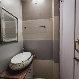 a bathroom with a toilet and a sink at HOTEL ROYAL AFGHAN in New Delhi