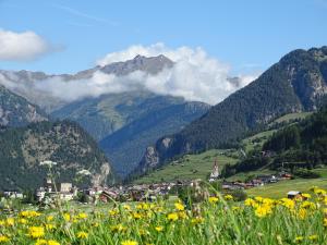 un pueblo en un campo de flores con montañas en Alpenfrieden - Nauders, en Nauders