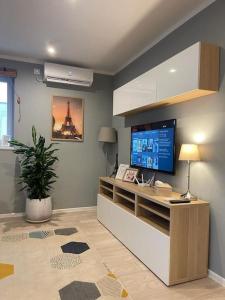 TV a/nebo společenská místnost v ubytování Premium Appartment in Onesti