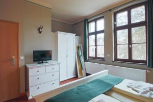 1 dormitorio con 1 cama, TV y ventanas en Hotel Jagdschloss Letzlingen, en Letzlingen