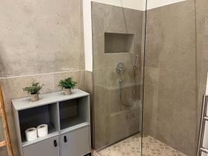 baño con ducha y puerta de cristal en Gmunder Premium Dachgeschoss-Apartments en Gmund am Tegernsee