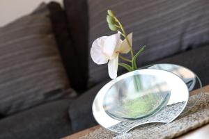 a vase with a white flower and a mirror on a table at Haus am Kölpinsee App 3 3 in Kölpinsee