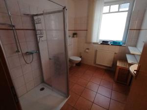 y baño con ducha y aseo. en Haus am Kölpinsee App 1 4 en Kölpinsee