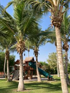 a playground with palm trees and a slide at Townhouse Paolo in Salalah