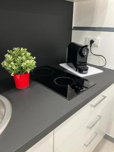 une cuisine avec un comptoir noir et un pot de plantes dans l'établissement Tizy’s dream house, à Catane