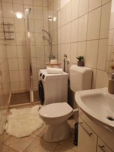 een badkamer met een toilet, een wastafel en een douche bij Holiday Home Dajana in Pisak