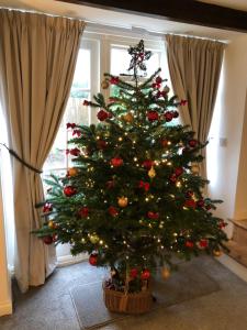 a christmas tree in a room with a window at 3 Bedroom Cottage, Red Wharf Bay, Pentraeth, Anglesey in Pentraeth