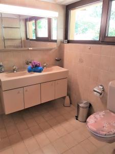 y baño con lavabo y aseo. en "Vista Bellissima", en Brissago