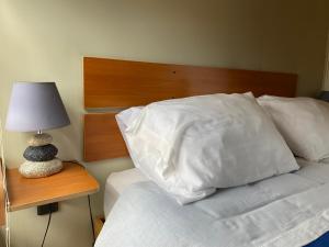 Gallery image of Hostal Los Pioneros in Puerto Natales +37 photos