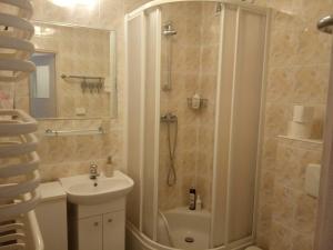 ein Bad mit einer Dusche, einem Waschbecken und einem WC in der Unterkunft Apartament Krynica Morska in Krynica Morska
