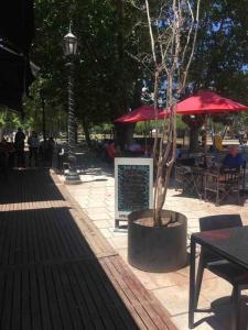 un parc avec un arbre, des tables et des parasols dans l'établissement Temporario La Plata 1 Frente a plaza Islas Malvinas! con Cochera Opcional, à La Plata