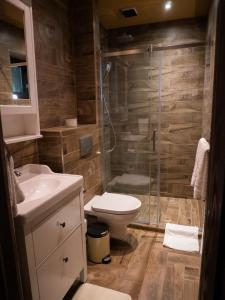 a bathroom with a shower and a toilet and a sink at Spirit of the Earth Cottage Dobogókő in Pilisszentkereszt