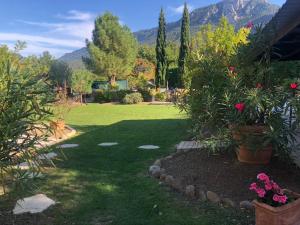 um quintal com um relvado com plantas e flores em Le Jardin des Gorges em Belvianes-et-Cavirac