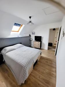 ein Schlafzimmer mit einem Bett und einem Dachfenster in der Unterkunft TI CAZ PYRENEES (Chambre d'Hôtes) in Mirepeix