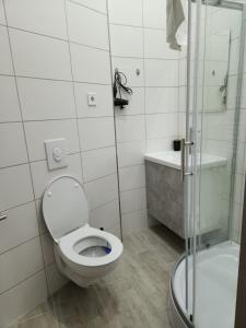 bagno bianco con servizi igienici e doccia di Klein & Fein Aurachtal a Neundorf