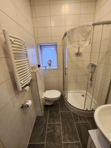 a bathroom with a toilet and a shower and a sink at Klein & Fein Aurachtal in Neundorf