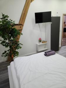 a bedroom with a white bed and a flat screen tv at Klein & Fein Aurachtal in Neundorf