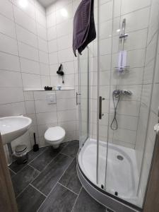 La salle de bains est pourvue d'une douche, de toilettes et d'un lavabo. dans l'établissement Klein & Fein Aurachtal, à Neundorf
