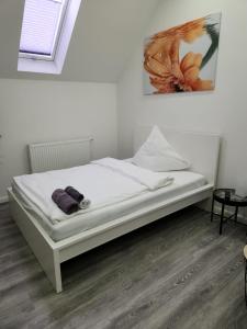 Neundorf的住宿－Klein & Fein Aurachtal，白色床罩的房间里的一个床位