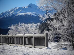 Príroda v okolí apartmánu