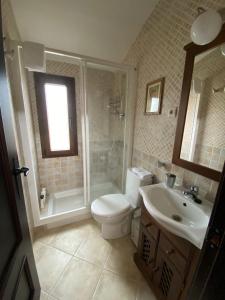 uma casa de banho com um WC, um chuveiro e um lavatório. em Antiguo pajar em Matarrubia