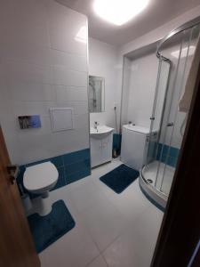 Bathroom sa Mỹ Apartments - Karlovy Vary centrum, free parking