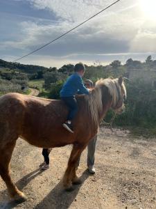 クラニディにあるgiagias family farmのギャラリーの写真