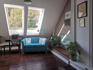 Pokój z niebieskim krzesłem i dwoma oknami w obiekcie ZACZAROWALIM - Dom w Górach Sowich w mieście Walim