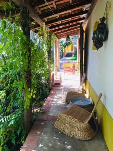 un patio con 2 sillas de mimbre y una mesa en Lovely quinta in nature with pool - Tomar, en Pero Calvo