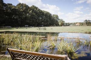 a park bench next to a pond with a picnic table at Ferme NeElke Pipowagens in Zoersel
