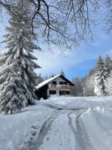Chalet Mint v zimě