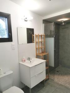 e bagno con lavandino, servizi igienici e doccia. di Studio indépendant, 10min Avignon a Pujaut
