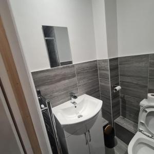 a bathroom with a sink and a toilet at Lovely Home away from home! in Bexleyheath