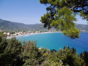 a view of a beach from a tree at Blue Sea Beach Resort in Skala Potamias