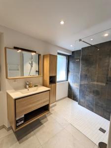La salle de bains est pourvue d'un lavabo et d'une douche. dans l'établissement Maison de Village 296-4, à Duingt