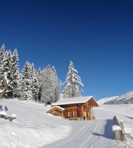 Ferienhütte Sternenblick durante l'inverno
