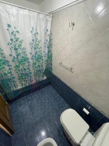 y baño con aseo y cortina de ducha. en Céntrico departamento en Obispo Oro en Córdoba