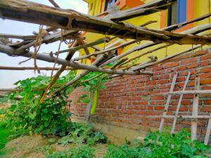 Zahrada ubytování Tathāgata Homestay