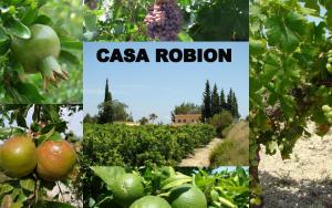 Zahrada ubytování Casa Robion