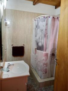 a bathroom with a sink and a shower curtain at Alojamiento Puesta del Sol in El Bolsón