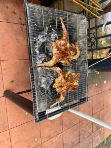 two pieces of meat cooking on a grill at Family’s gardem 