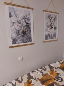 dos fotos colgando en una pared junto a una cama en Nordic Home, with private sauna, en Rovaniemi
