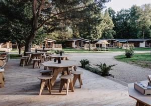 a group of picnic tables and benches in a park at destinature Dorf Südeifel in Ernzen